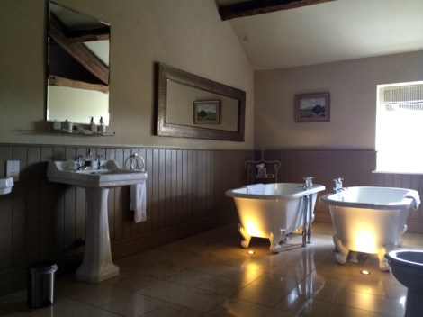 Not all the bathrooms are quite like this!