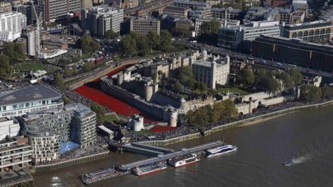 _78684835_tower_poppies_reuters