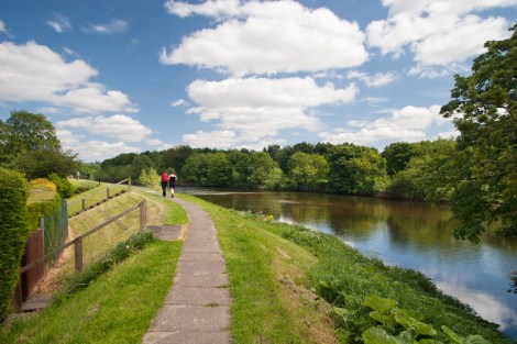 The Tees at Hurworth...