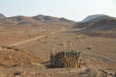 View from the toilet...