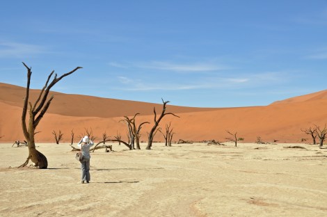 Dead Vlei...a dried up sea where even bacteria doesn't survive