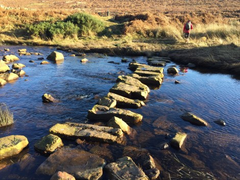 Stepping stones along the walk