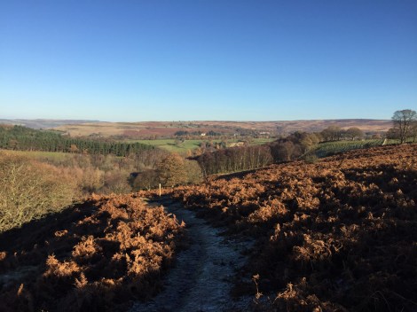 The North Yorks Moors