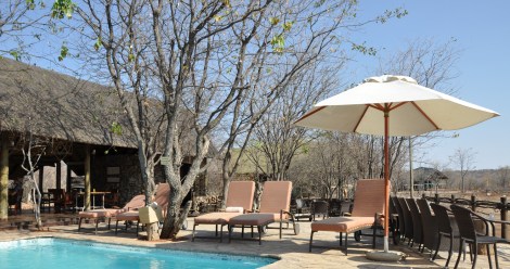 The pool overlooking the watering hole...