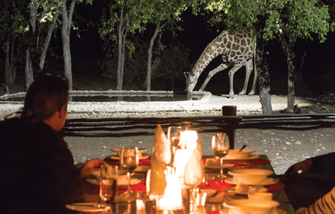 The watering hole...