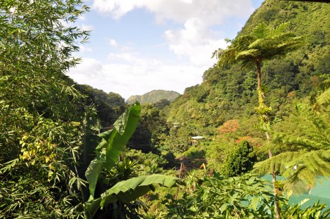 View from the room...