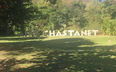 That sign...you can't miss it